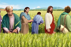 Catholic mass readings for July 18, 2025: Friday of the Fifteenth Week in Ordinary Time
