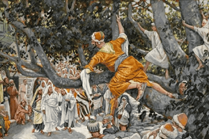 Catholic mass readings for November 18, 2025: Tuesday of the Thirty-third Week in Ordinary Time