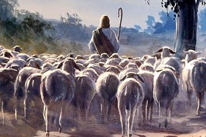 Catholic mass readings for May 11, 2025: Fourth Sunday of Easter