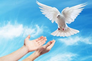 Catholic mass readings for May 27, 2025: Tuesday of the Sixth Week of Easter