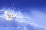Catholic mass readings for May 28, 2025: Wednesday of the Sixth Week of Easter