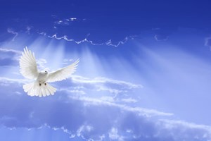Catholic mass readings for May 28, 2025: Wednesday of the Sixth Week of Easter