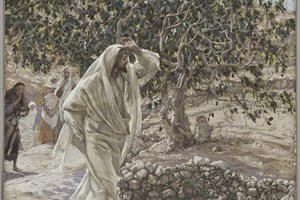 Catholic mass readings for September 13, 2025: Memorial of Saint John Chrysostom, Bishop and Doctor of the Church