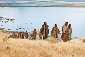 Catholic mass readings for September 24, 2025: Wednesday of the Twenty-fifth Week in Ordinary Time