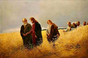 Catholic mass readings for September 06, 2025: Saturday of the Twenty-second Week in Ordinary Time