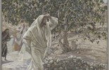Catholic mass readings for October 27, 2026: Tuesday of the Thirtieth Week in Ordinary Time