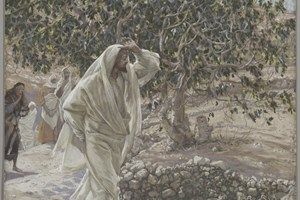 Catholic mass readings for October 27, 2026: Tuesday of the Thirtieth Week in Ordinary Time