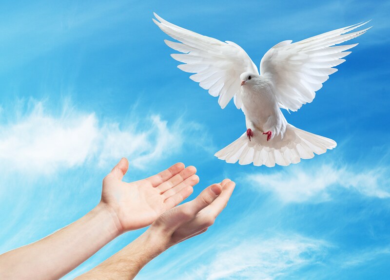 Catholic mass readings for May 12, 2026: Tuesday of the Sixth Week of Easter