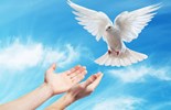Catholic mass readings for May 12, 2026: Tuesday of the Sixth Week of Easter