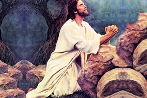 Catholic mass readings for May 20, 2026: Wednesday of the Seventh Week of Easter