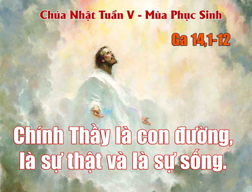 Catholic mass readings for May 03, 2026: Fifth Sunday of Easter