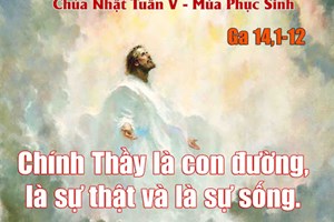 Catholic mass readings for May 03, 2026: Fifth Sunday of Easter