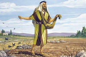 Catholic mass readings for July 24, 2026: Friday of the Sixteenth Week in Ordinary Time
