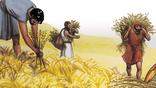 Catholic mass readings for July 28, 2026: Tuesday of the Seventeenth Week in Ordinary Time