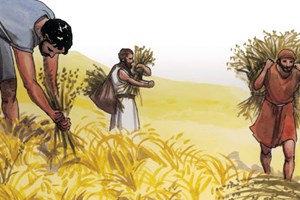 Catholic mass readings for July 28, 2026: Tuesday of the Seventeenth Week in Ordinary Time