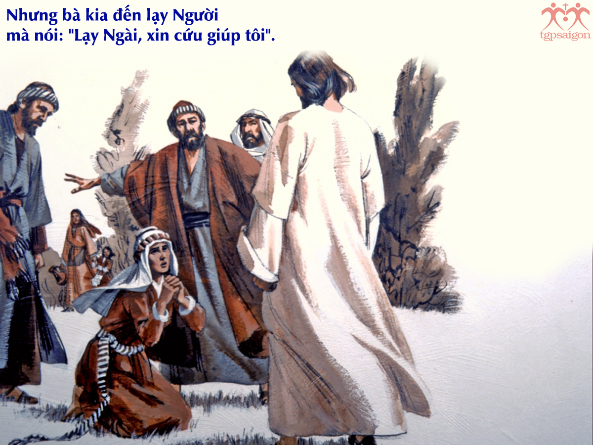 Catholic mass readings for August 16, 2026: Twentieth Sunday in Ordinary Time