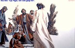 Catholic mass readings for August 16, 2026: Twentieth Sunday in Ordinary Time