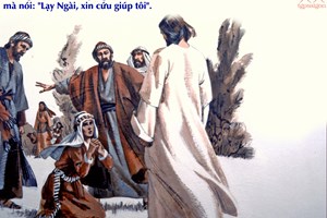 Catholic mass readings for August 16, 2026: Twentieth Sunday in Ordinary Time