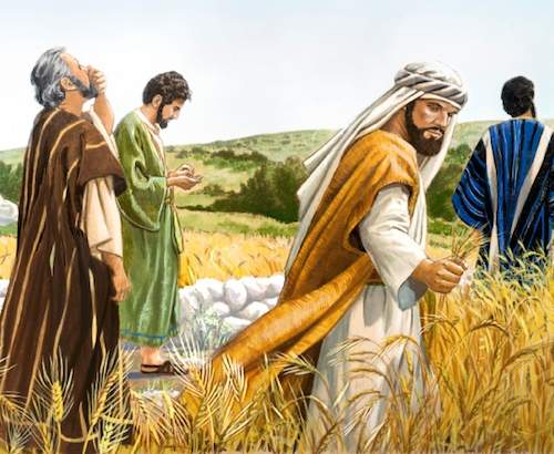 Catholic mass readings for September 05, 2026: Saturday of the Twenty-second Week in Ordinary Time