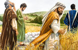 Catholic mass readings for September 05, 2026: Saturday of the Twenty-second Week in Ordinary Time