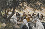 Catholic mass readings for August 12, 2026: Wednesday of the Nineteenth Week in Ordinary Time